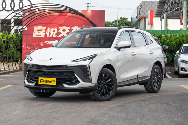 风行T5 EVO 2024款 狂飚版 1.5TD DCT马赫钻石款能源类型_基本信息图