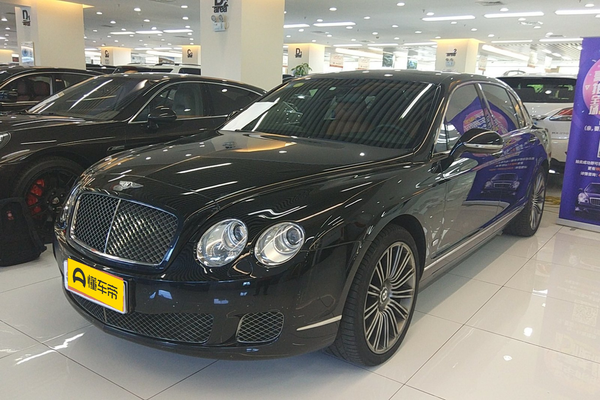 飞驰 2010款 6.0T 五座版车身结构_车身图