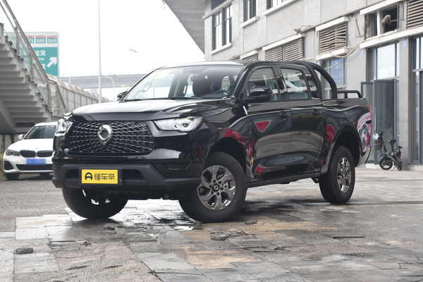 炮 2021款 商用版 2.0T汽油 自动两驱精英型 标箱GW4C20B能源类型_基本信息图