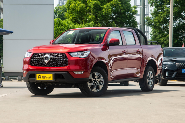 炮 2021款 商用版 2.0T柴油 自动四驱茶王版 标箱GW4D20M级别_基本信息图