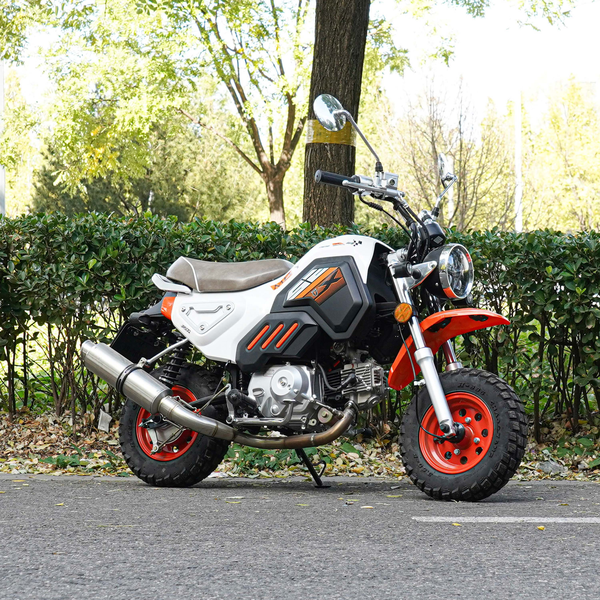 MBY 坦克 2023款 标准版级别_基本信息图