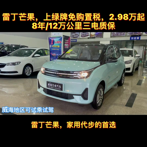 新能源汽车-雷丁芒果,百公里仅需5元钱,三电质保8年12万公里