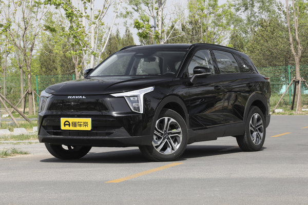 哈弗枭龙 2023款 1.5L 110km 领航版厂商_基本信息图