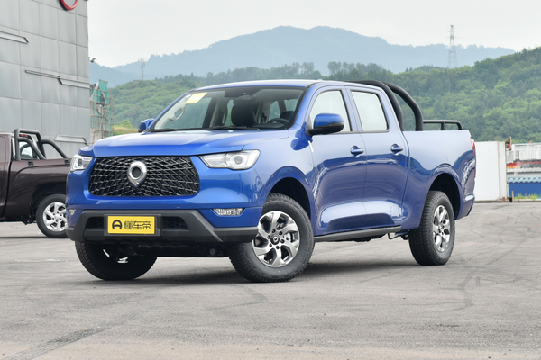 炮 2021款 商用版 2.0T柴油 手动四驱茶王版 长箱GW4D20M级别_基本信息图