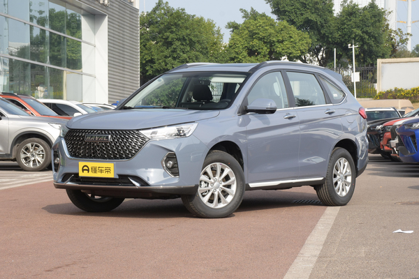 哈弗M6 2021款 PLUS 1.5T DCT柳岩联名版厂商_基本信息图