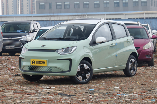 思皓花仙子 2023款 周年款 251KM满天星 36kW厂商_基本信息图