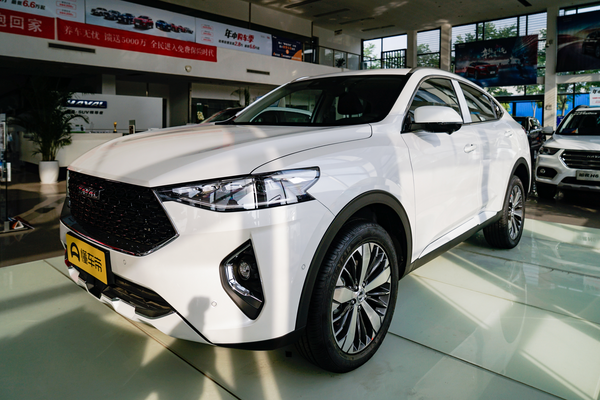 哈弗F7x 2019款 1.5T 两驱极智科技版厂商_基本信息图