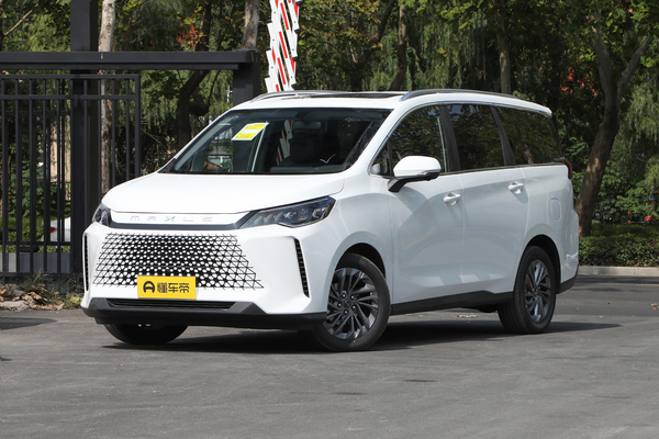 大家5 PLUG IN 2024款 智享版厂商_基本信息图