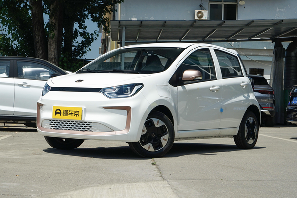 思皓花仙子 2023款 周年款 251KM四叶草 36kW厂商_基本信息图