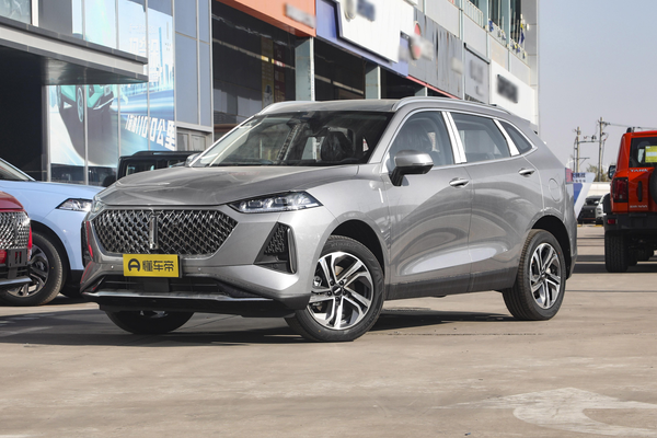 玛奇朵DHT 2021款 DHT特调版厂商_基本信息图