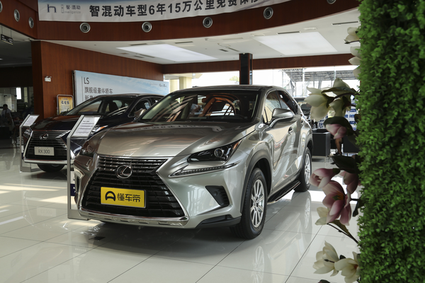 雷克萨斯NX 2018款 300 前驱 锋行版 国V上市时间_基本信息图