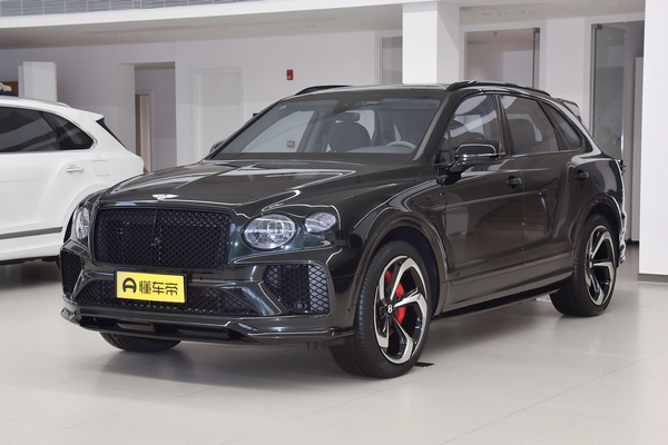 添越 2022款 4.0T V8 S厂商_基本信息图