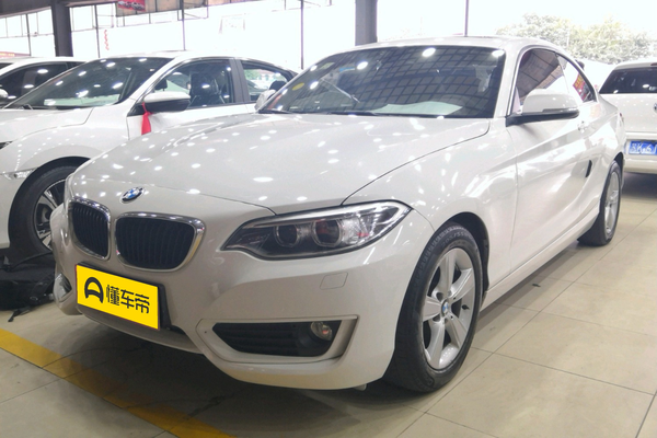 宝马2系(进口) 2014款 220i 领先型电动车窗_玻璃/后视镜图