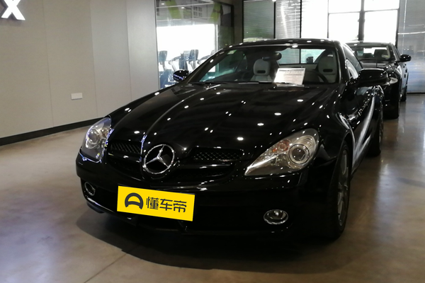 奔驰SLK级 2009款 SLK 300 黑白经典版厂商_基本信息图