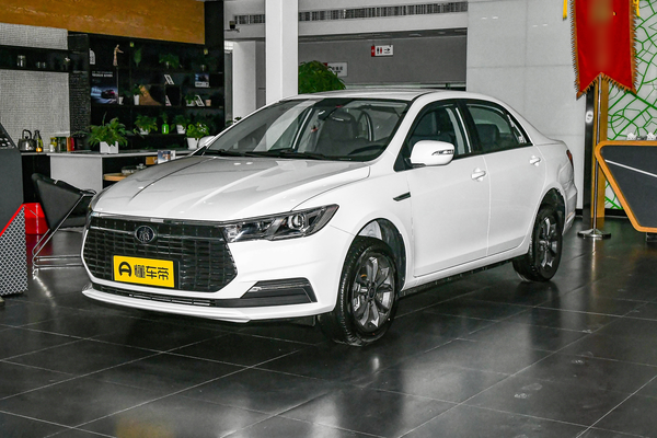 秦EV 2020款 出行标准版能源类型_基本信息图