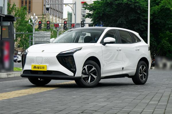 风行雷霆 2024款 410 公务版厂商_基本信息图