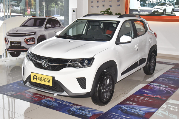 东风纳米EX1 2022款 改款 PRO 悦骋型厂商_基本信息图