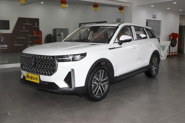 奔腾T99 2022款 20TD 8AT尊享型厂商_基本信息图