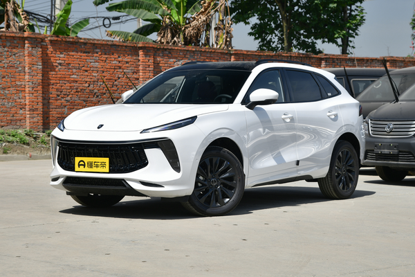风行T5 EVO 2021款 1.5TD DCT荣耀版厂商_基本信息图