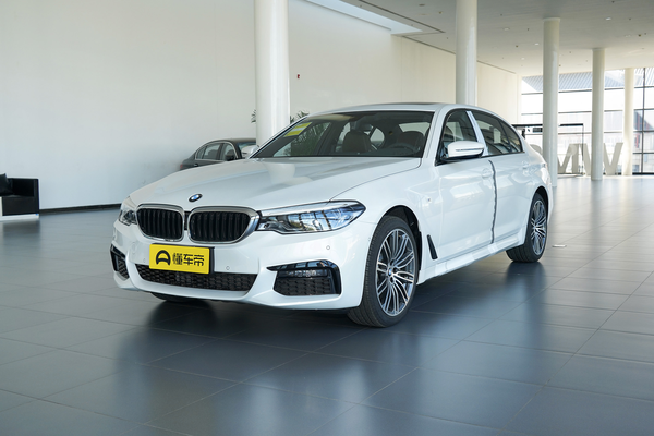 宝马5系 2019款 530Li 尊享型 M运动套装雨量感应式雨刷_玻璃/后视镜图