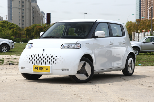 欧拉白猫 2020款 360km标准型厂商_基本信息图