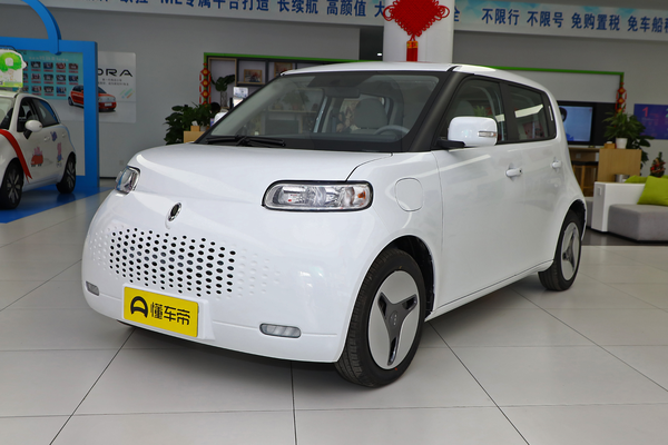欧拉白猫 2020款 360km豪华型座位数(个)_车身图