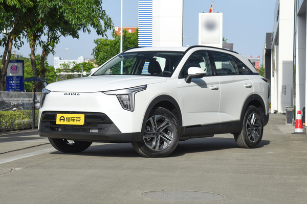 哈弗枭龙 2023款 1.5L 110km 领动版厂商_基本信息图