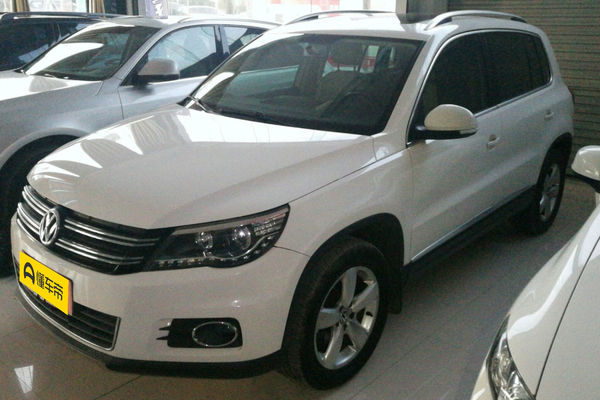 途观 2010款 2.0TSI 自动四驱菁英版级别_基本信息图