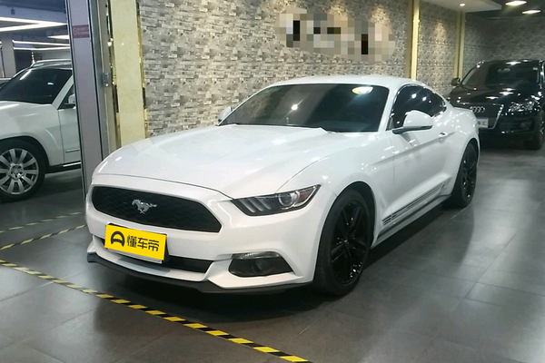 Mustang 2016款 2.3T 运动版厂商_基本信息图