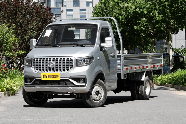 神骐T30 2021款 1.6L舒适型标准车单排3.3米厂商_基本信息图