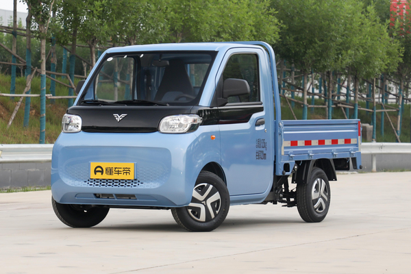 雷驰·仁T10 2023款 短轴栏板货车 科大国创 12.31kWh能源类型_基本信息图