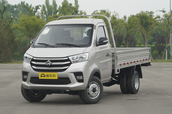 新豹3 2019款 1.5L中配型单排后双轮标准货箱DK15C厂商_基本信息图