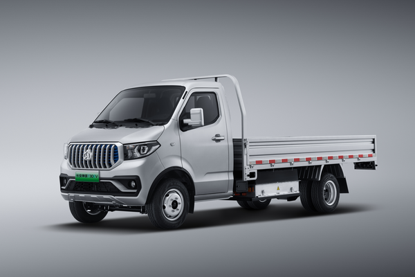 神骐T30 EV 2023款 基本型厂商_基本信息图