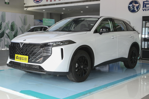 启辰大V 2023款 260T 新星版 Pro级别_基本信息图