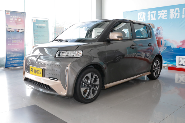 欧拉白猫 2022款 小野猫版 401km 旗舰型 三元锂厂商_基本信息图