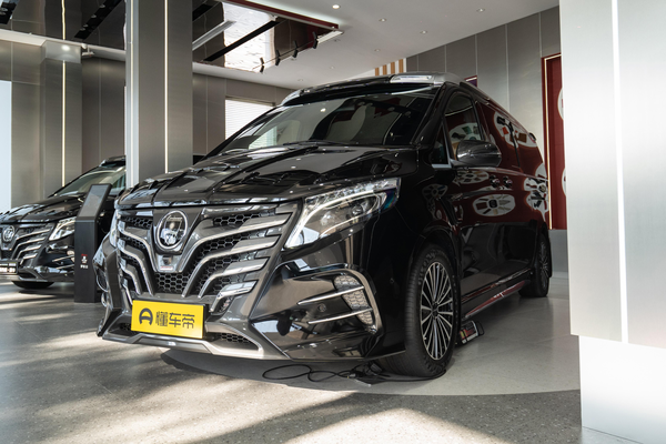 Lorinser VS系列 2023款 VS560MX 天御·商务版厂商_基本信息图