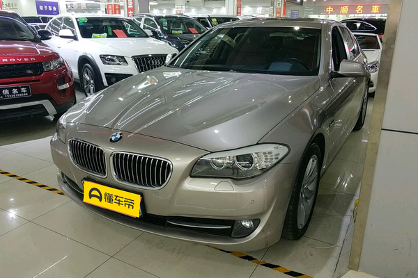 宝马5系(进口) 2013款 535i 豪华运动型能源类型_基本信息图