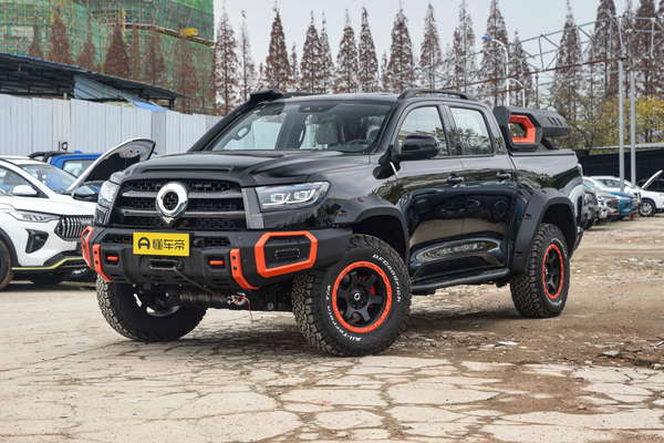 炮 2021款 2.0T汽油 自动黑弹版GW4C20B车窗一键升降_玻璃/后视镜图