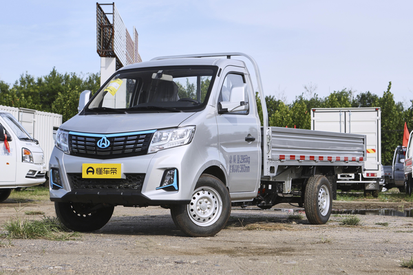 新豹T3 EV 2024款 单排豪华版 栏板车纯电续航里程(km)_基本信息图