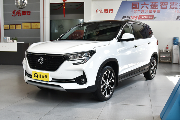 风行T5 2020款 1.5T 自动尊贵型 国VI能源类型_基本信息图