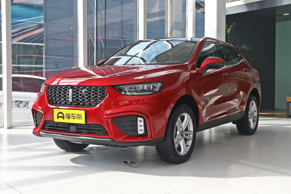 魏牌 VV5 2020款 1.5T 颜先锋厂商_基本信息图