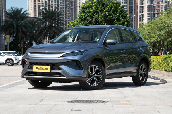 宋Pro DM 2025款 第二代 DM-i 115KM 超越型电动机总扭矩(N·m)_电动机图