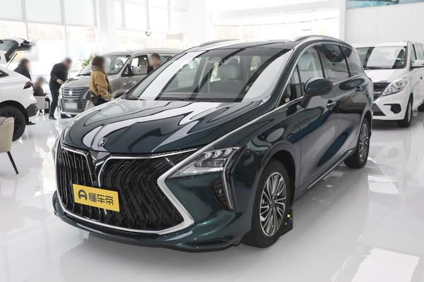 风行游艇 2022款 1.5T DCT追风版厂商_基本信息图