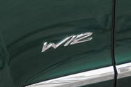 W12侧徽标