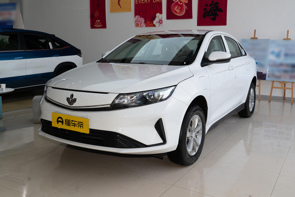 枫叶60s 2022款 改款 易行版 三元锂厂商_基本信息图