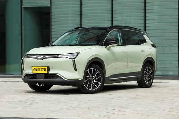 威马W6 2021款 520km ACE极智版能源类型_基本信息图