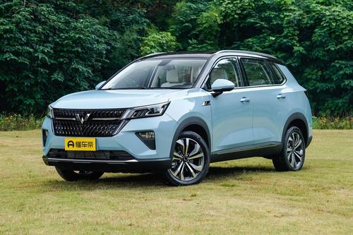 顶配不到10万，减振器可调阻尼！五菱星辰入手解析