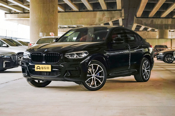 宝马X4 2020款 xDrive25i 黑骑士限量版能源类型_基本信息图