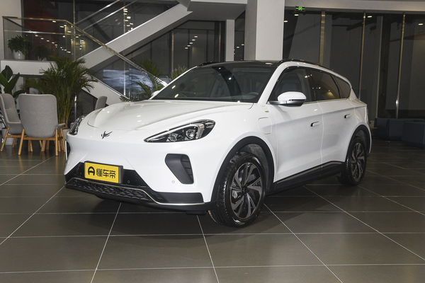 极狐 阿尔法T 2022款 480S 160kW厂商_基本信息图