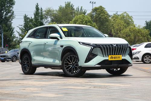 奇瑞、比亚迪、宁德时代三家背书，10.99万起售，插混SUV新秀来了